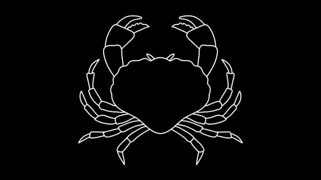 Roczny horoskop finansowy Rak 2026