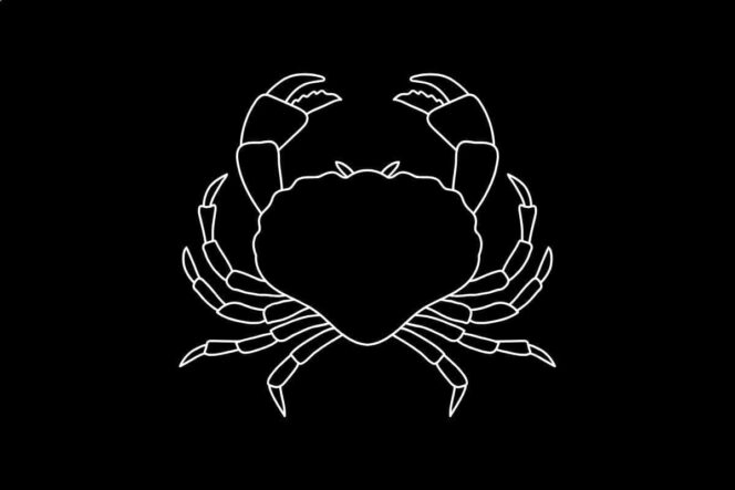 Roczny horoskop finansowy Rak 2026