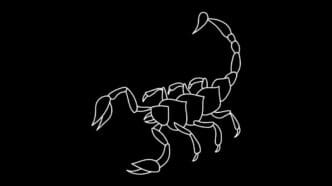 Roczny horoskop finansowy Skorpion 2026